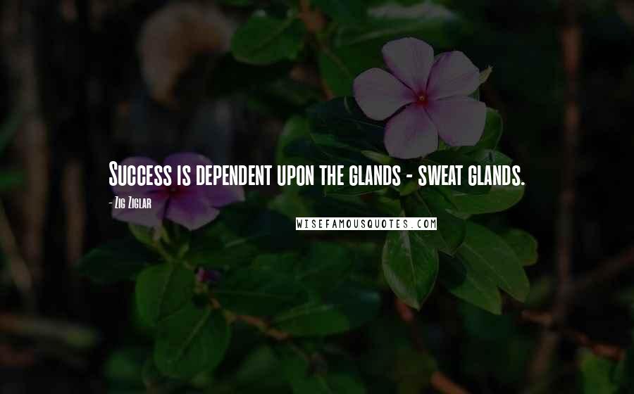Zig Ziglar quotes: Success is dependent upon the glands - sweat glands.