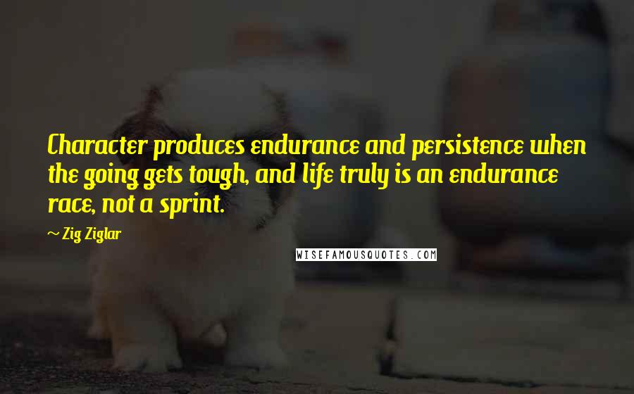 Zig Ziglar quotes: Character produces endurance and persistence when the going gets tough, and life truly is an endurance race, not a sprint.