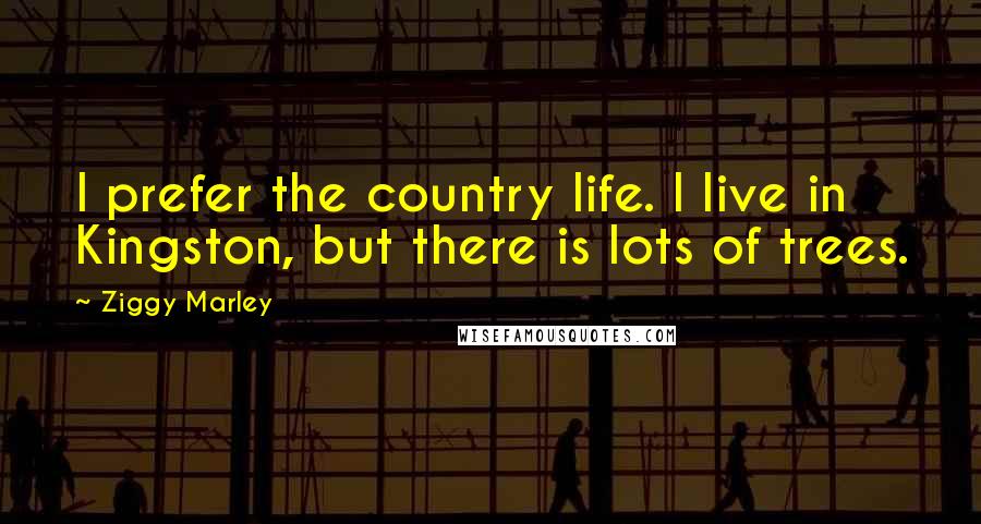 Ziggy Marley quotes: I prefer the country life. I live in Kingston, but there is lots of trees.