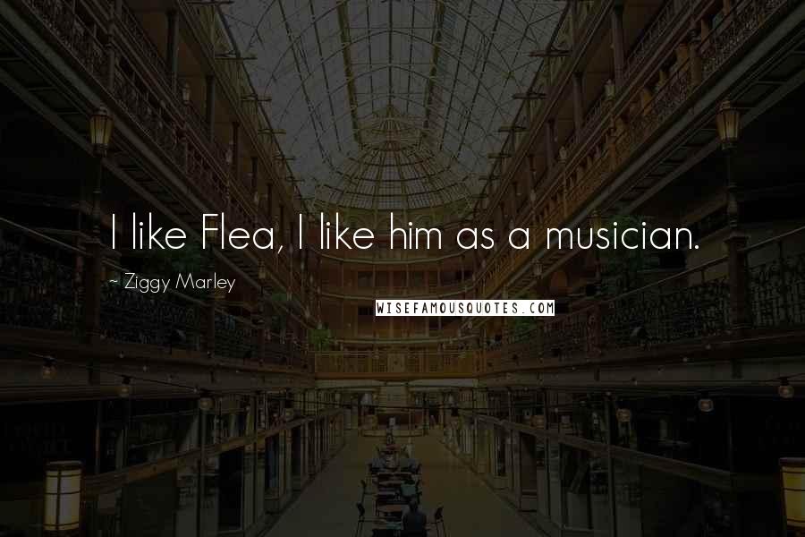 Ziggy Marley quotes: I like Flea, I like him as a musician.