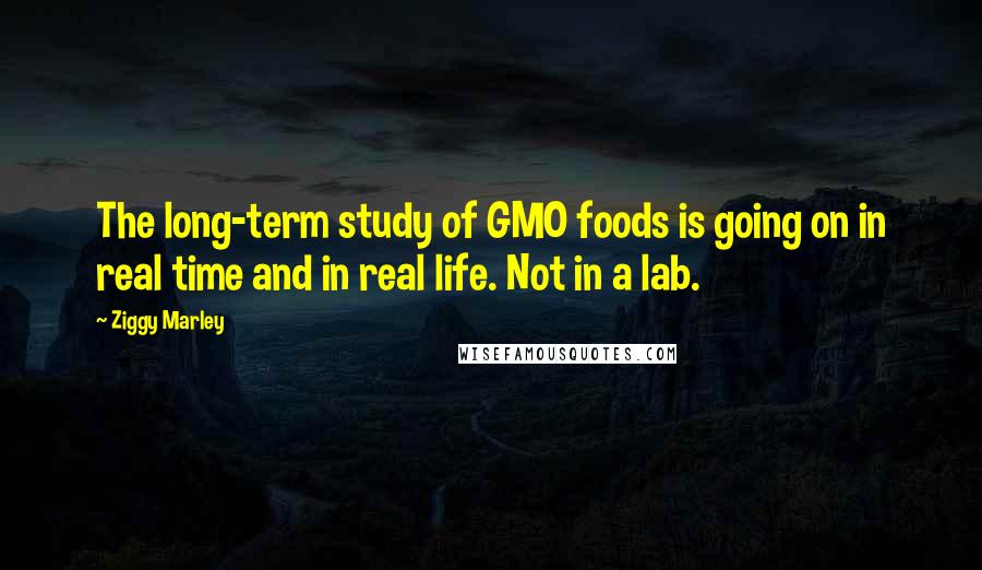 Ziggy Marley quotes: The long-term study of GMO foods is going on in real time and in real life. Not in a lab.