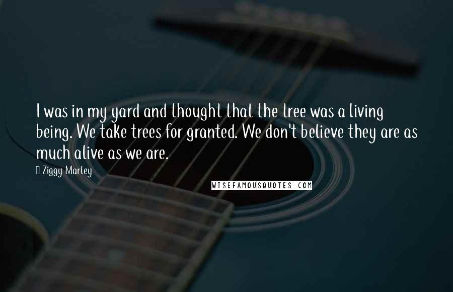 Ziggy Marley quotes: I was in my yard and thought that the tree was a living being. We take trees for granted. We don't believe they are as much alive as we are.