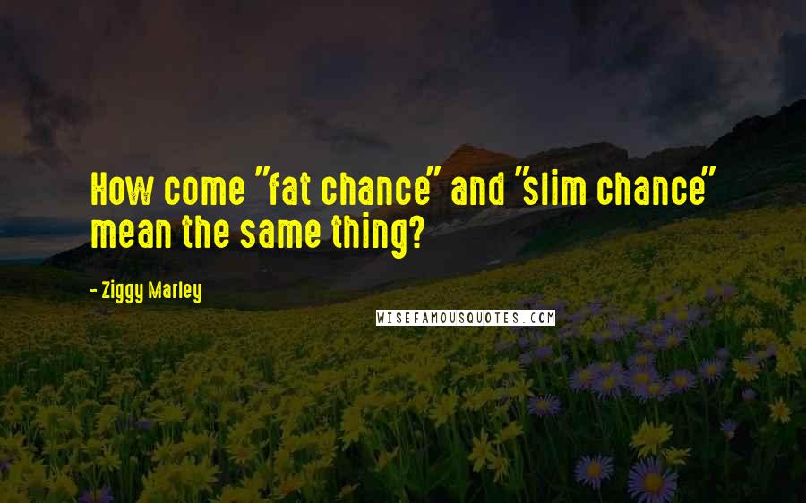 Ziggy Marley quotes: How come "fat chance" and "slim chance" mean the same thing?