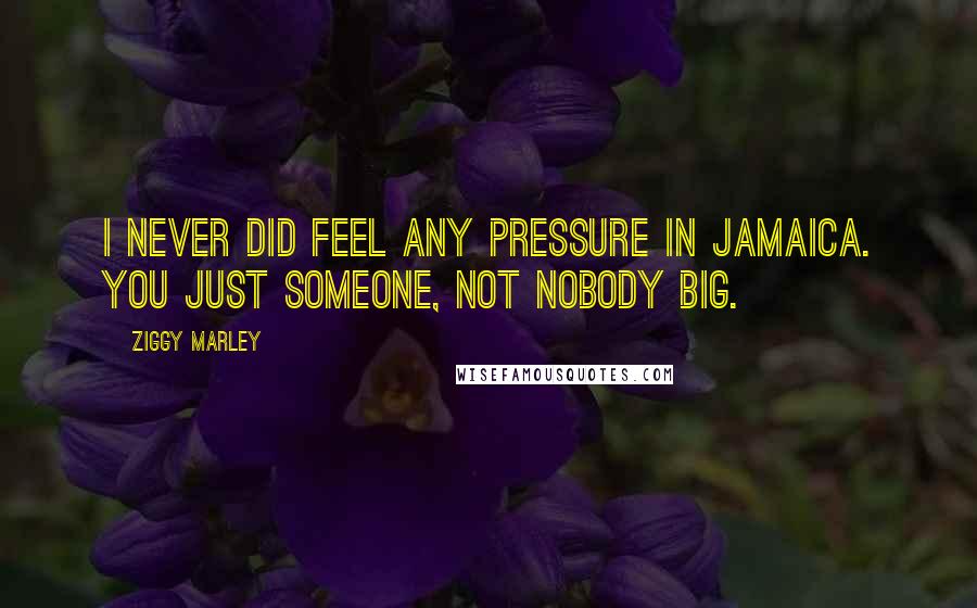 Ziggy Marley quotes: I never did feel any pressure in Jamaica. You just someone, not nobody big.