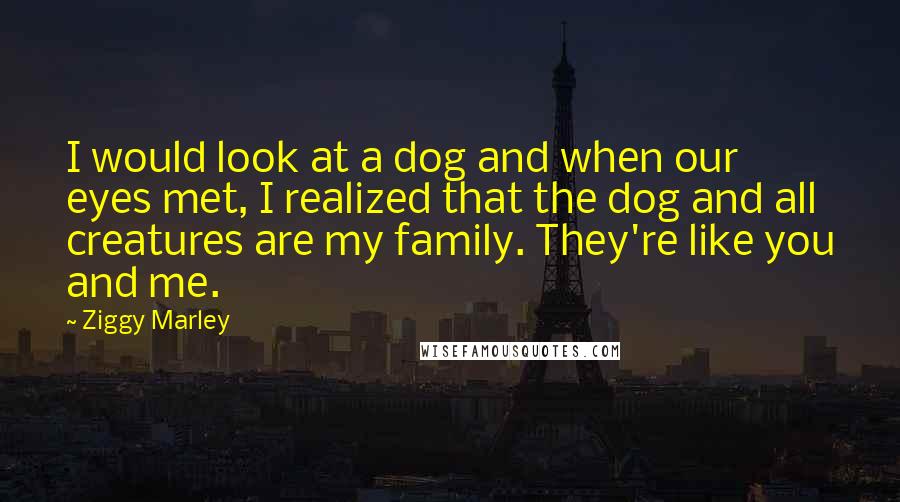Ziggy Marley quotes: I would look at a dog and when our eyes met, I realized that the dog and all creatures are my family. They're like you and me.