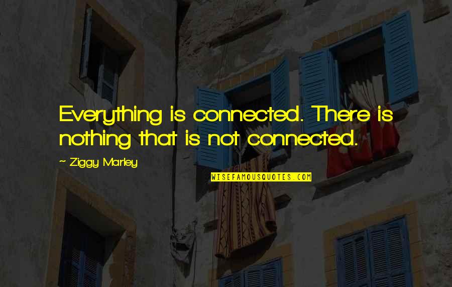 Ziggy Marley Quotes By Ziggy Marley: Everything is connected. There is nothing that is