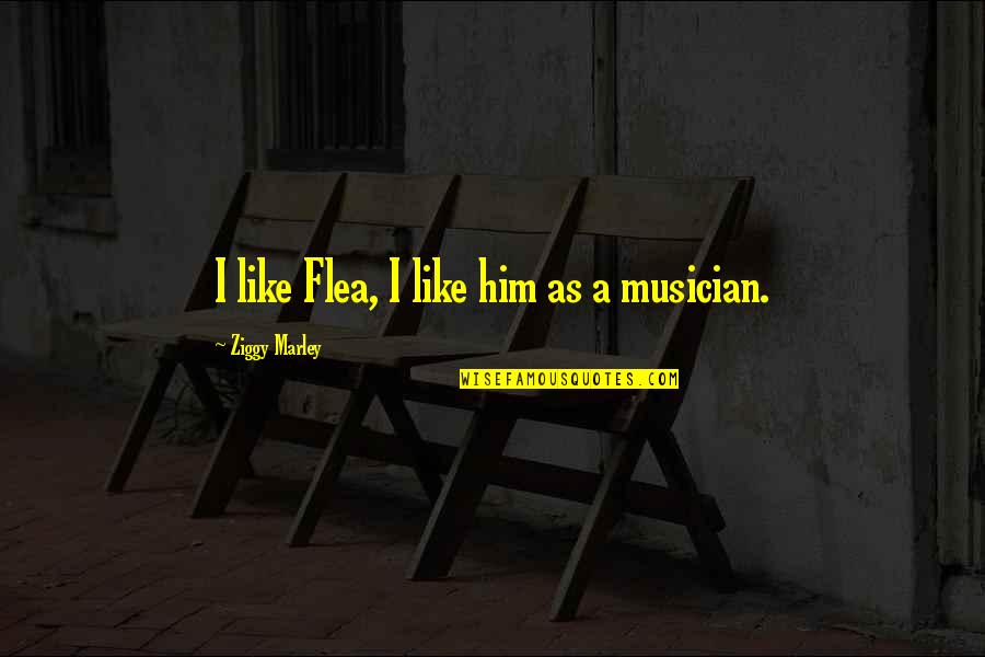 Ziggy Quotes By Ziggy Marley: I like Flea, I like him as a