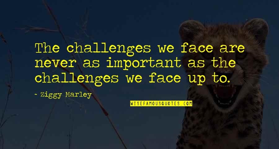 Ziggy Quotes By Ziggy Marley: The challenges we face are never as important