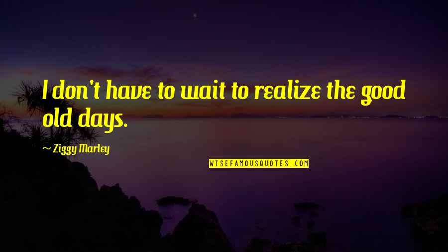 Ziggy Quotes By Ziggy Marley: I don't have to wait to realize the