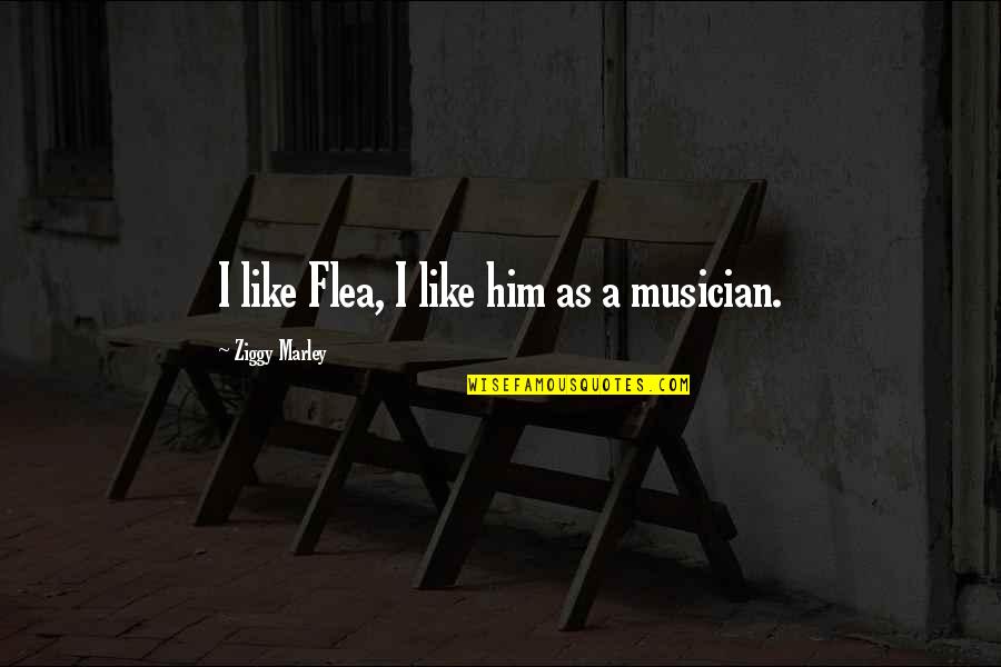 Ziggy's Quotes By Ziggy Marley: I like Flea, I like him as a