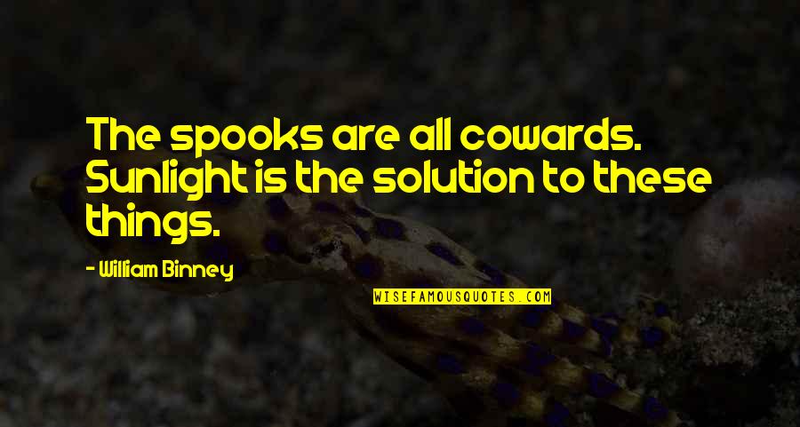 Zigmunds Quotes By William Binney: The spooks are all cowards. Sunlight is the