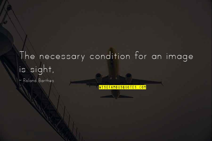 Zigs Quotes By Roland Barthes: The necessary condition for an image is sight, Zigs Quotes By Roland Barthes: The necessary condition for an image is sight,