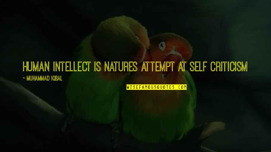 Zigzags Spikes Quotes By Muhammad Iqbal: Human intellect is natures attempt at self criticism