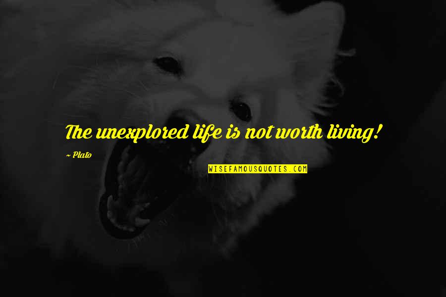 Zijad Sabovic Quotes By Plato: The unexplored life is not worth living!