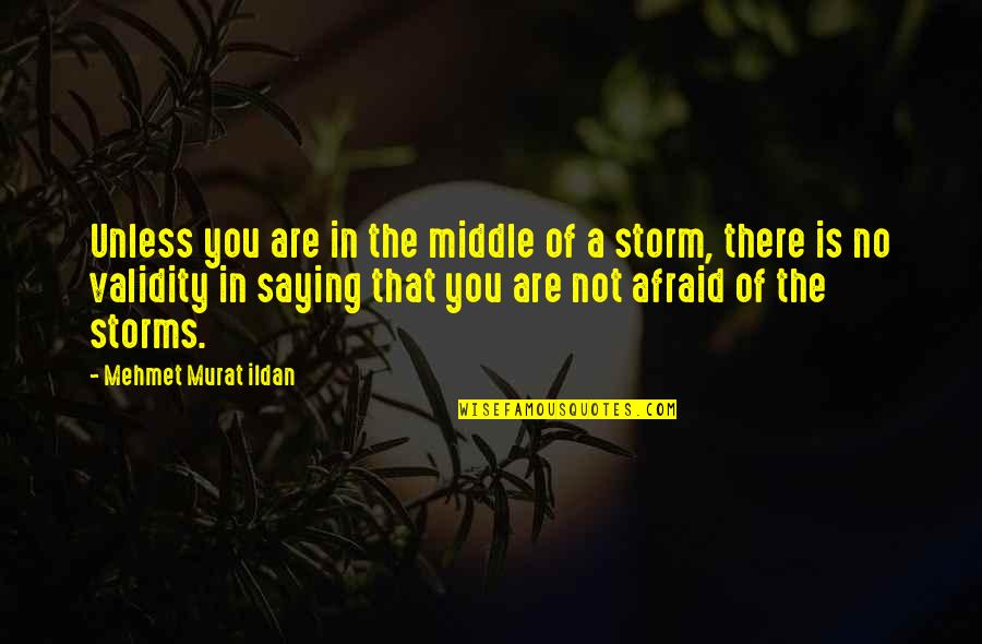 Zijadin Quotes By Mehmet Murat Ildan: Unless you are in the middle of a