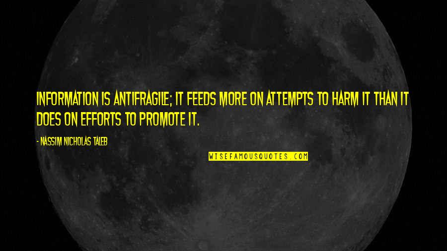 Zikas Florida Quotes By Nassim Nicholas Taleb: Information is antifragile; it feeds more on attempts