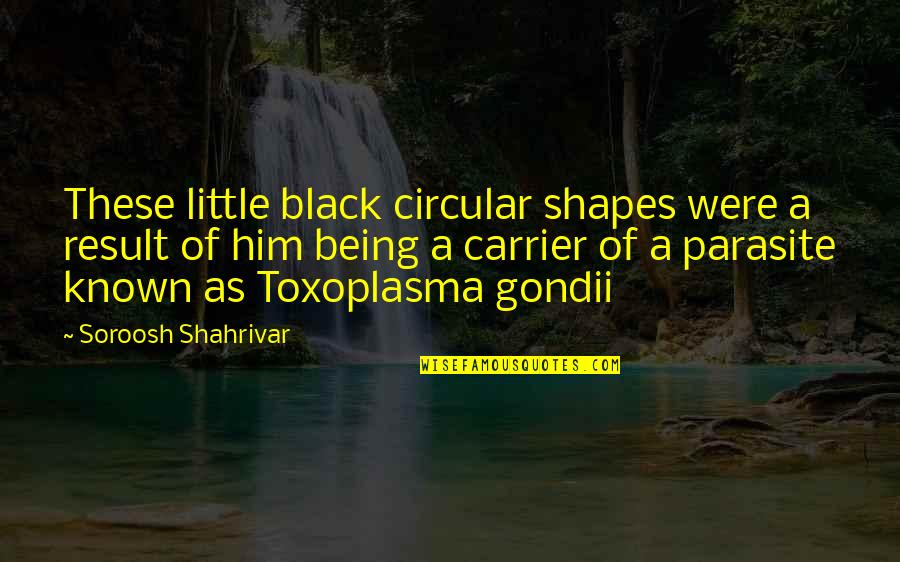 Zillessen Quotes By Soroosh Shahrivar: These little black circular shapes were a result Zillessen Quotes By Soroosh Shahrivar: These little black circular shapes were a result
