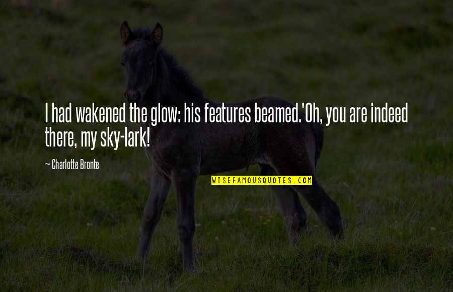 Zillions W Quotes By Charlotte Bronte: I had wakened the glow: his features beamed.'Oh, Zillions W Quotes By Charlotte Bronte: I had wakened the glow: his features beamed.'Oh,