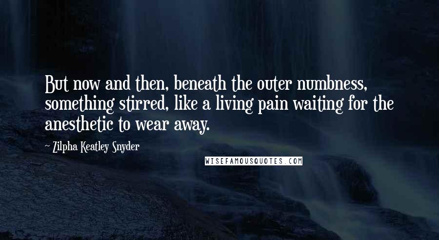 Zilpha Keatley Snyder quotes: But now and then, beneath the outer numbness, something stirred, like a living pain waiting for the anesthetic to wear away.