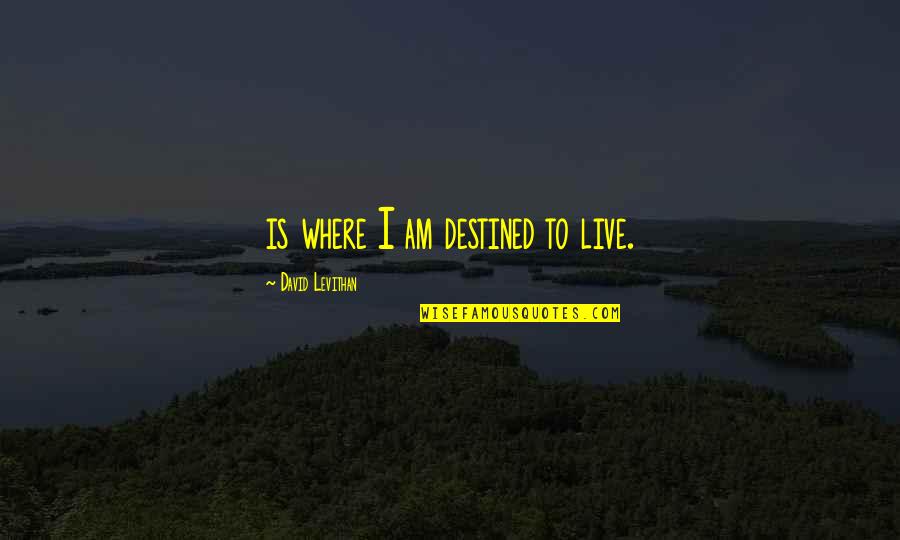 Ziman Development Quotes By David Levithan: is where I am destined to live.