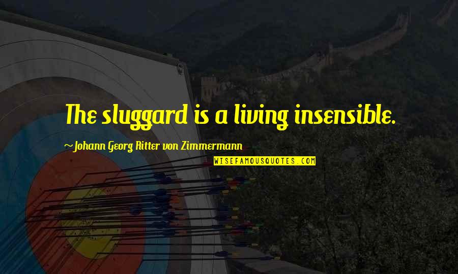 Zimmermann Quotes By Johann Georg Ritter Von Zimmermann: The sluggard is a living insensible. Zimmermann Quotes By Johann Georg Ritter Von Zimmermann: The sluggard is a living insensible.