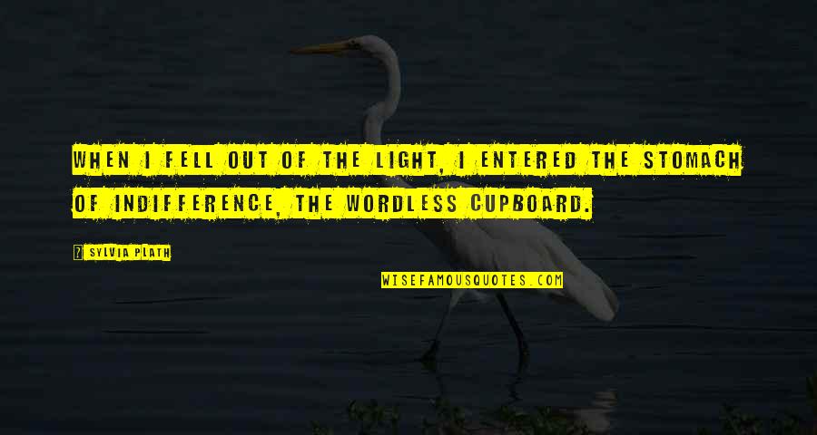 Zindagi Khafa Quotes By Sylvia Plath: When I fell out of the light, I Zindagi Khafa Quotes By Sylvia Plath: When I fell out of the light, I