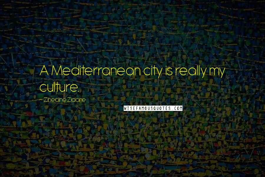Zinedine Zidane quotes: A Mediterranean city is really my culture.