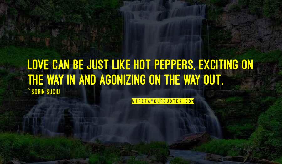Zingermans Cornman Quotes By Sorin Suciu: Love can be just like hot peppers, exciting Zingermans Cornman Quotes By Sorin Suciu: Love can be just like hot peppers, exciting