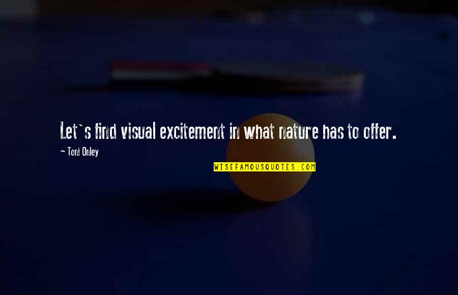 Zingers Mountain Quotes By Toni Onley: Let's find visual excitement in what nature has