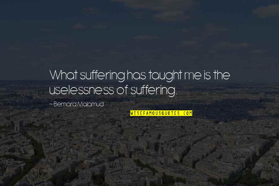 Zingers Snack Quotes By Bernard Malamud: What suffering has taught me is the uselessness Zingers Snack Quotes By Bernard Malamud: What suffering has taught me is the uselessness