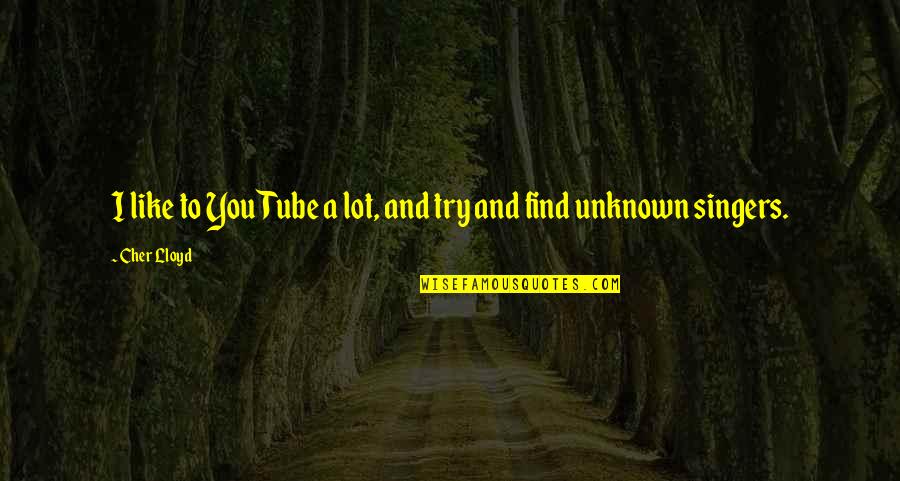 Zingga Quotes By Cher Lloyd: I like to YouTube a lot, and try