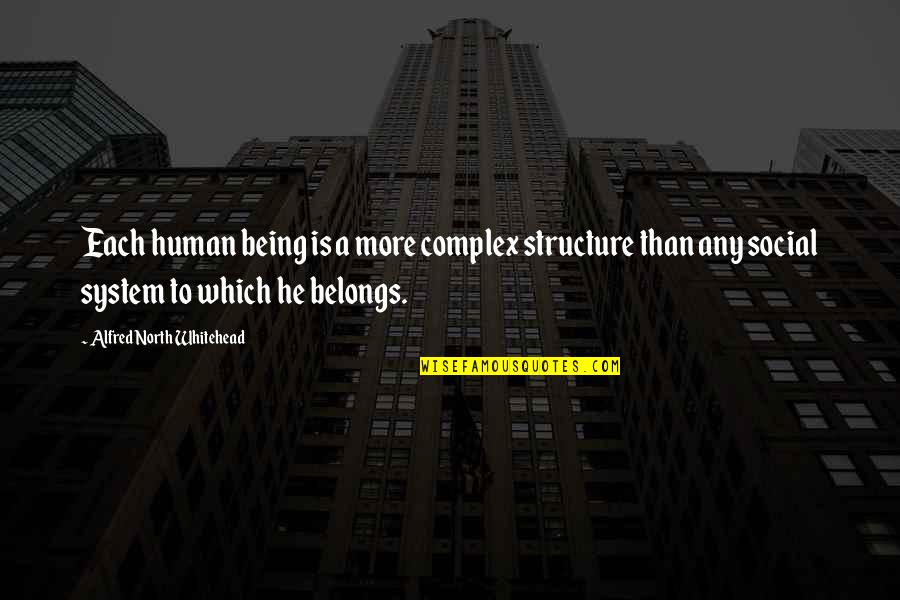 Zinkoff Quotes By Alfred North Whitehead: Each human being is a more complex structure Zinkoff Quotes By Alfred North Whitehead: Each human being is a more complex structure