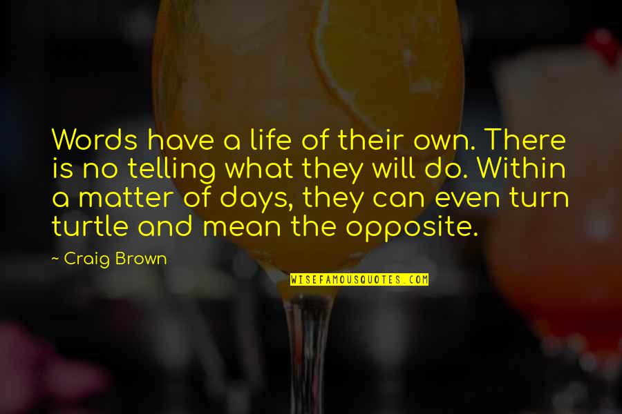 Zinloos Geweld Quotes By Craig Brown: Words have a life of their own. There