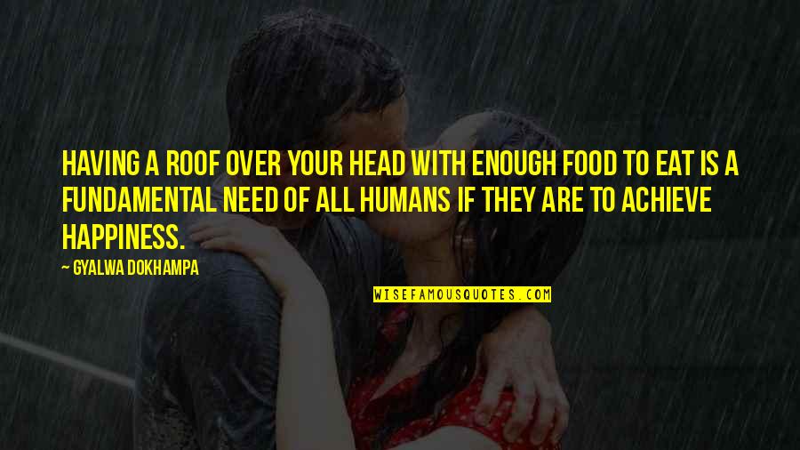 Zinni Quotes By Gyalwa Dokhampa: Having a roof over your head with enough