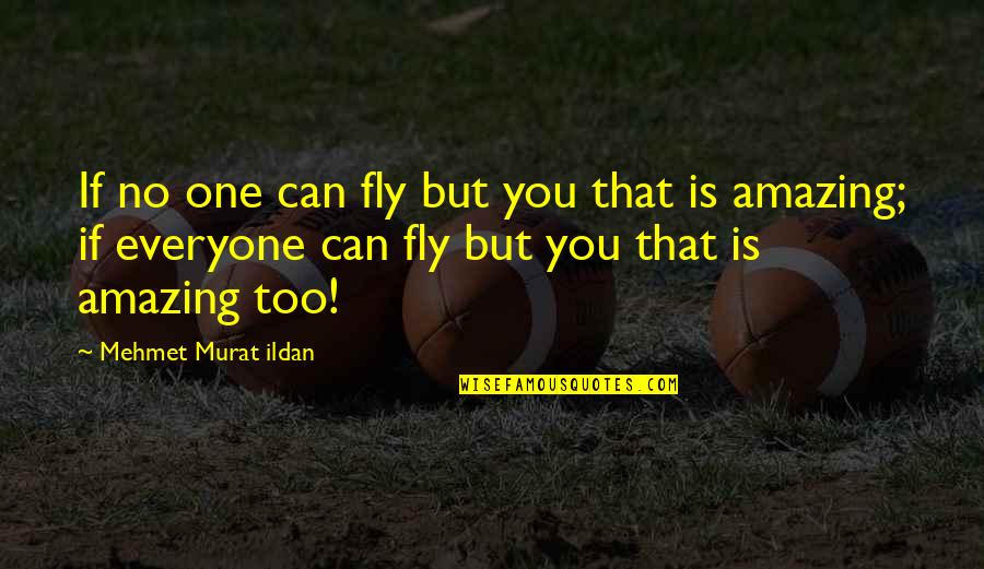 Zinthos Quotes By Mehmet Murat Ildan: If no one can fly but you that