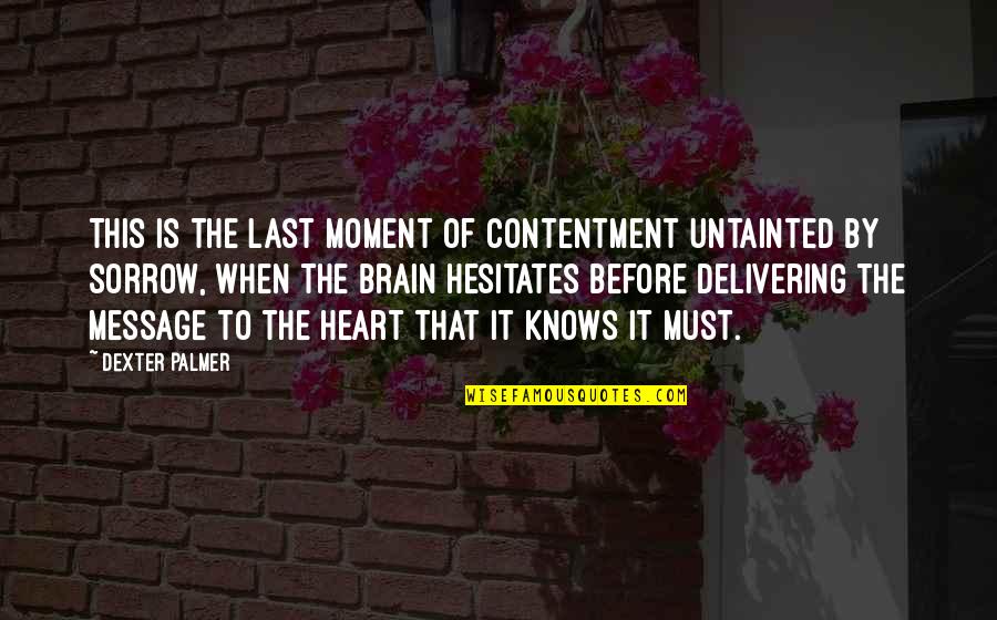 Zionistic Quotes By Dexter Palmer: This is the last moment of contentment untainted