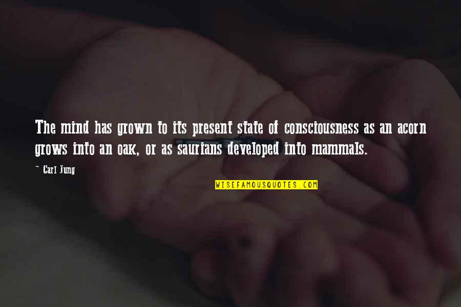 Zipped Lips Quotes By Carl Jung: The mind has grown to its present state Zipped Lips Quotes By Carl Jung: The mind has grown to its present state