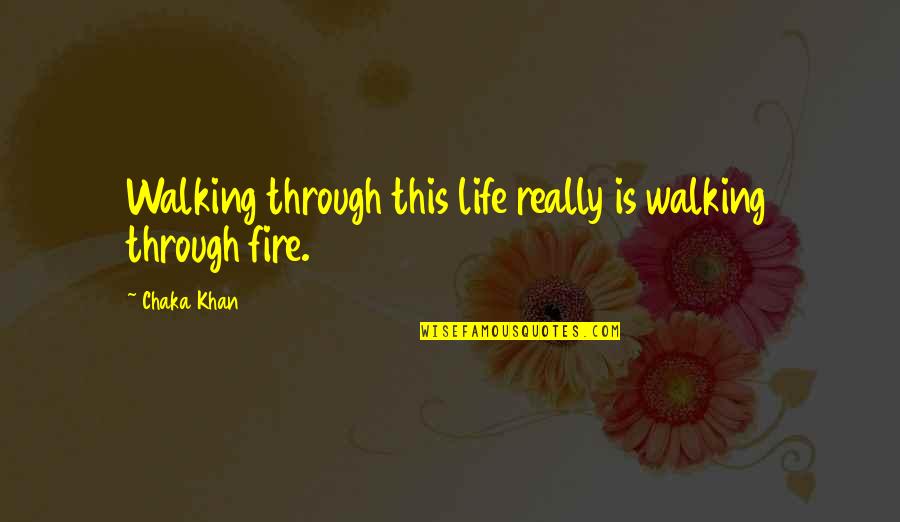 Zirh Clean Quotes By Chaka Khan: Walking through this life really is walking through