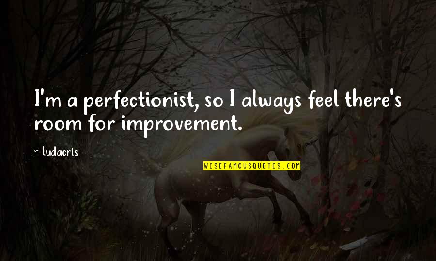 Zirklerankis Quotes By Ludacris: I'm a perfectionist, so I always feel there's