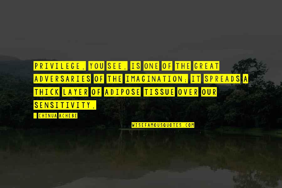 Zirzow Creations Quotes By Chinua Achebe: Privilege, you see, is one of the great