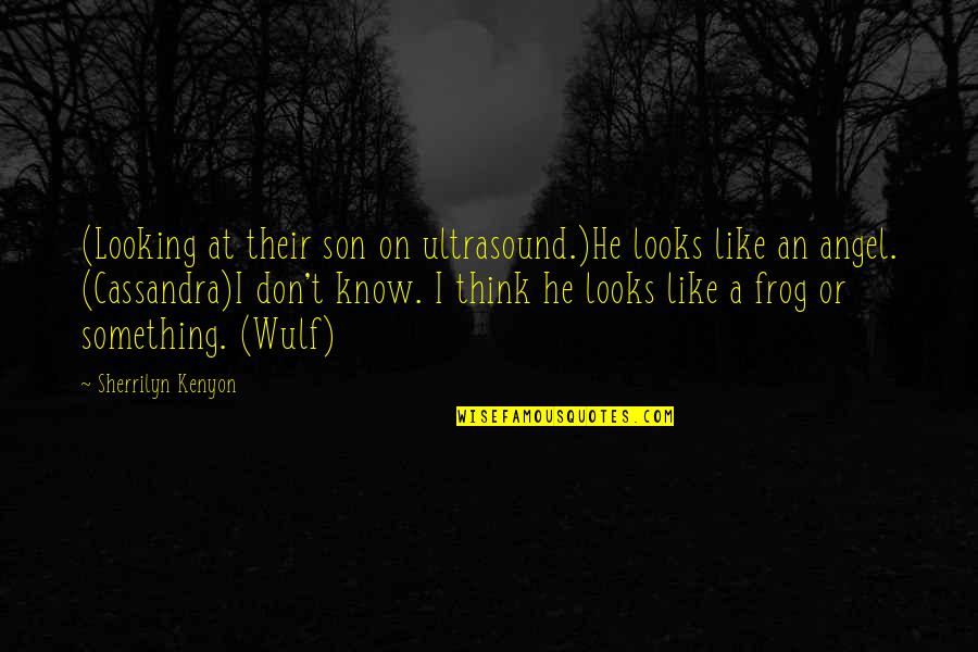 Zithers Chord Quotes By Sherrilyn Kenyon: (Looking at their son on ultrasound.)He looks like