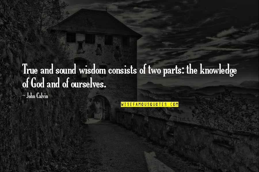 Zivadin Chris Quotes By John Calvin: True and sound wisdom consists of two parts: