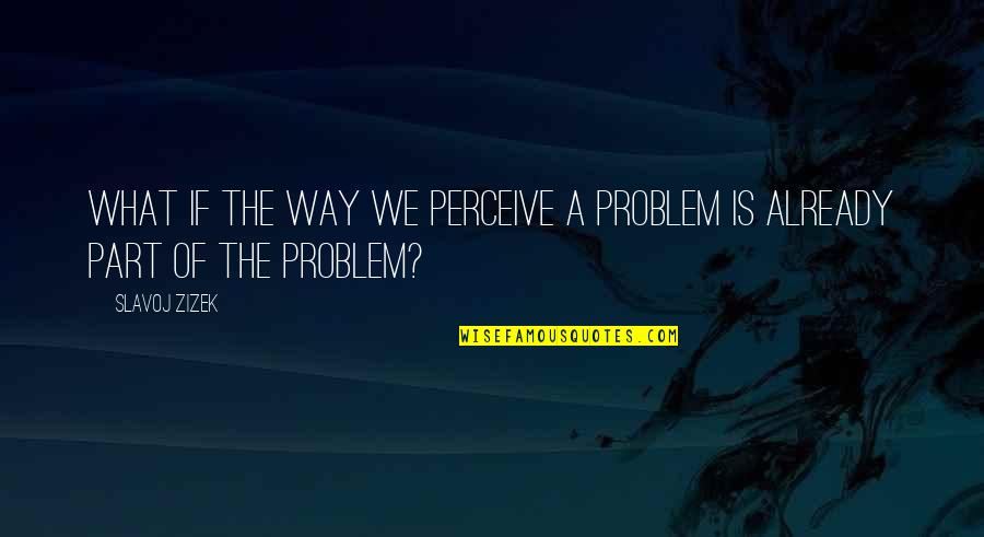 Zizek's Quotes By Slavoj Zizek: What if the way we perceive a problem
