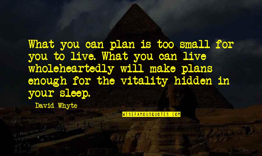 Zizzo Liberte Quotes By David Whyte: What you can plan is too small for
