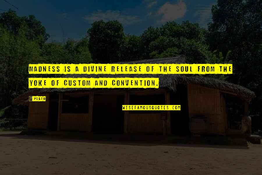 Zj Movie Quote Quotes By Plato: Madness is a divine release of the soul