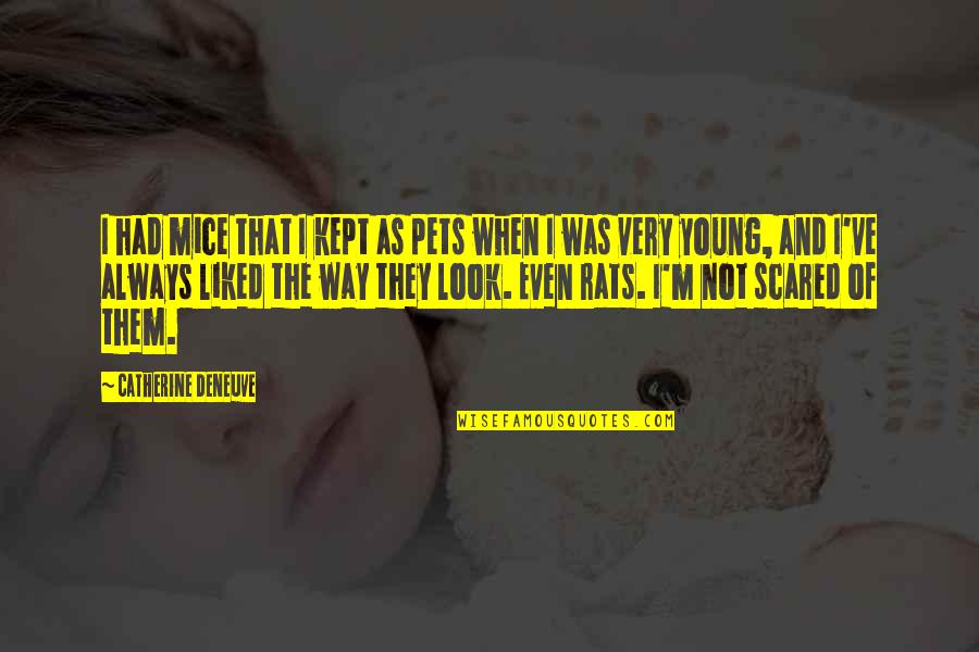 Zkusit Znovu Quotes By Catherine Deneuve: I had mice that I kept as pets Zkusit Znovu Quotes By Catherine Deneuve: I had mice that I kept as pets