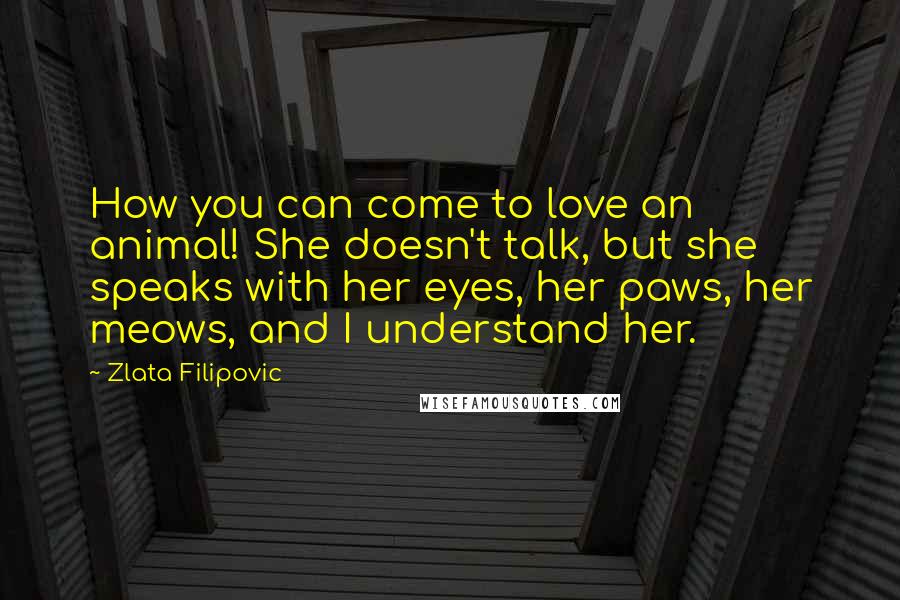 Zlata Filipovic quotes: How you can come to love an animal! She doesn't talk, but she speaks with her eyes, her paws, her meows, and I understand her.