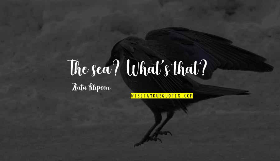 Zlata Filipovic Quotes By Zlata Filipovic: The sea? What's that?