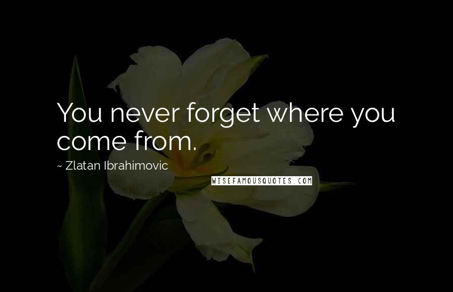 Zlatan Ibrahimovic quotes: You never forget where you come from.