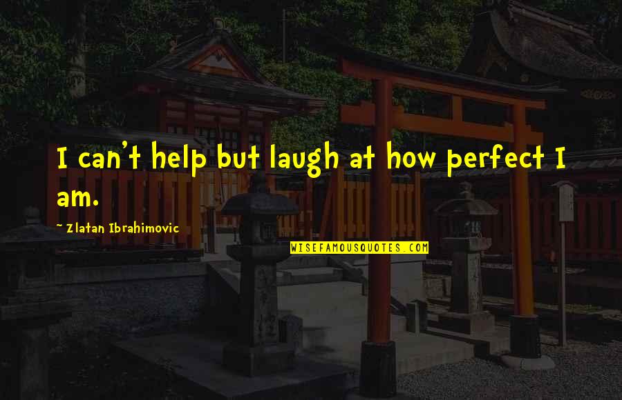 Zlatan Ibrahimovic Quotes By Zlatan Ibrahimovic: I can't help but laugh at how perfect